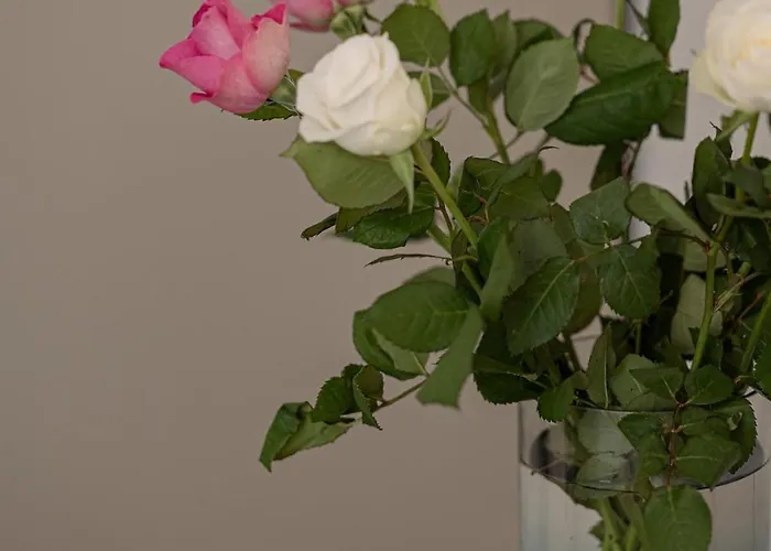 Family Nr 1 - J26 Luxury Apartment, Jauniela 26 Old - Great Location - 2 Bedrooms - 85 M2 Riga