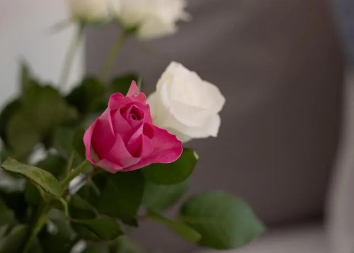 Appartamento Family Nr 1 - J26 Luxury Apartment, Jauniela 26 Old - Great Location - 2 Bedrooms - 85 M2 *